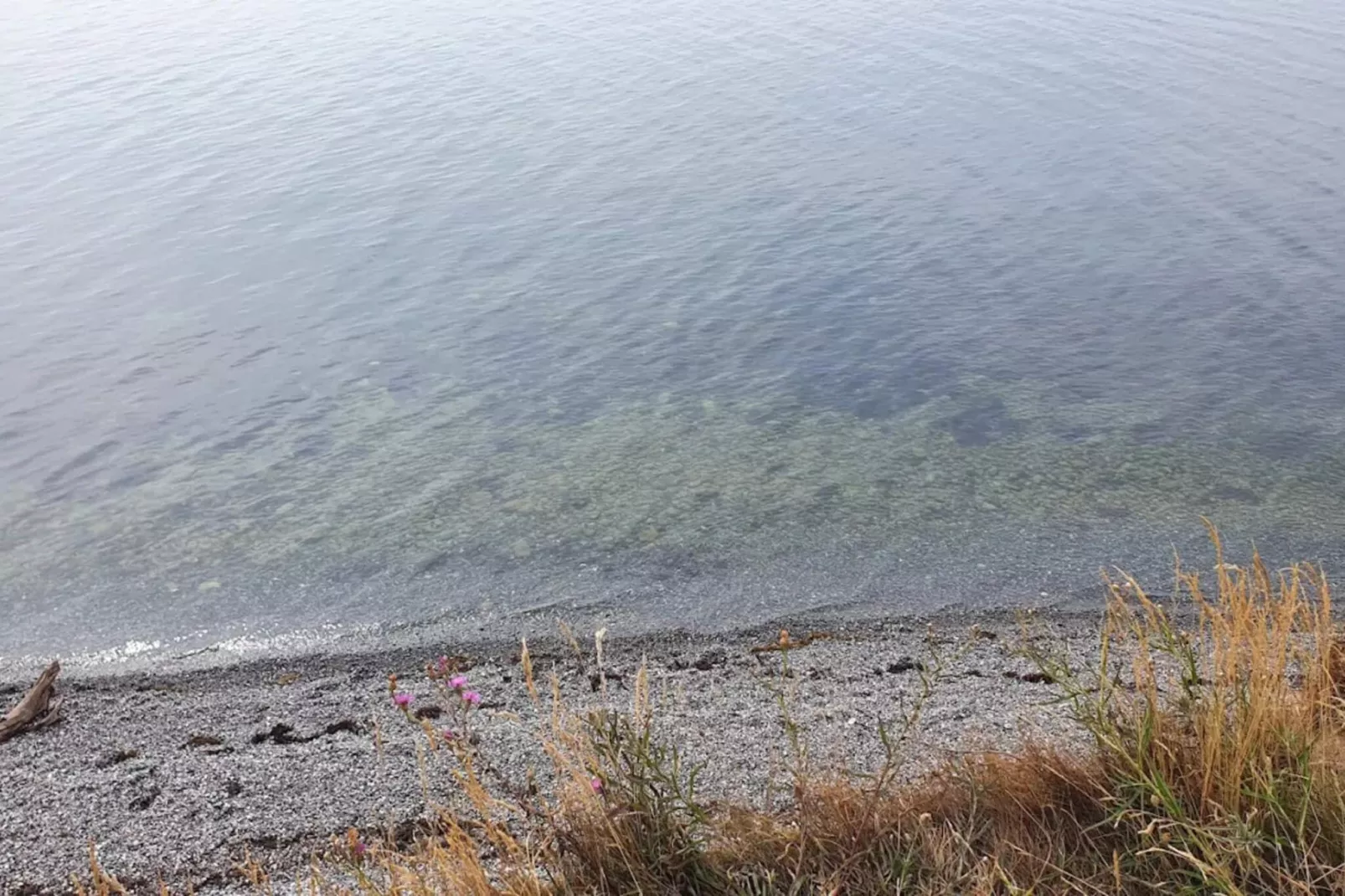 Family cottage for eight guests - Water view