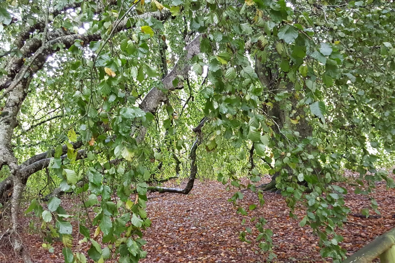 6 person holiday home in Øster Assels-By Traum-Untagged