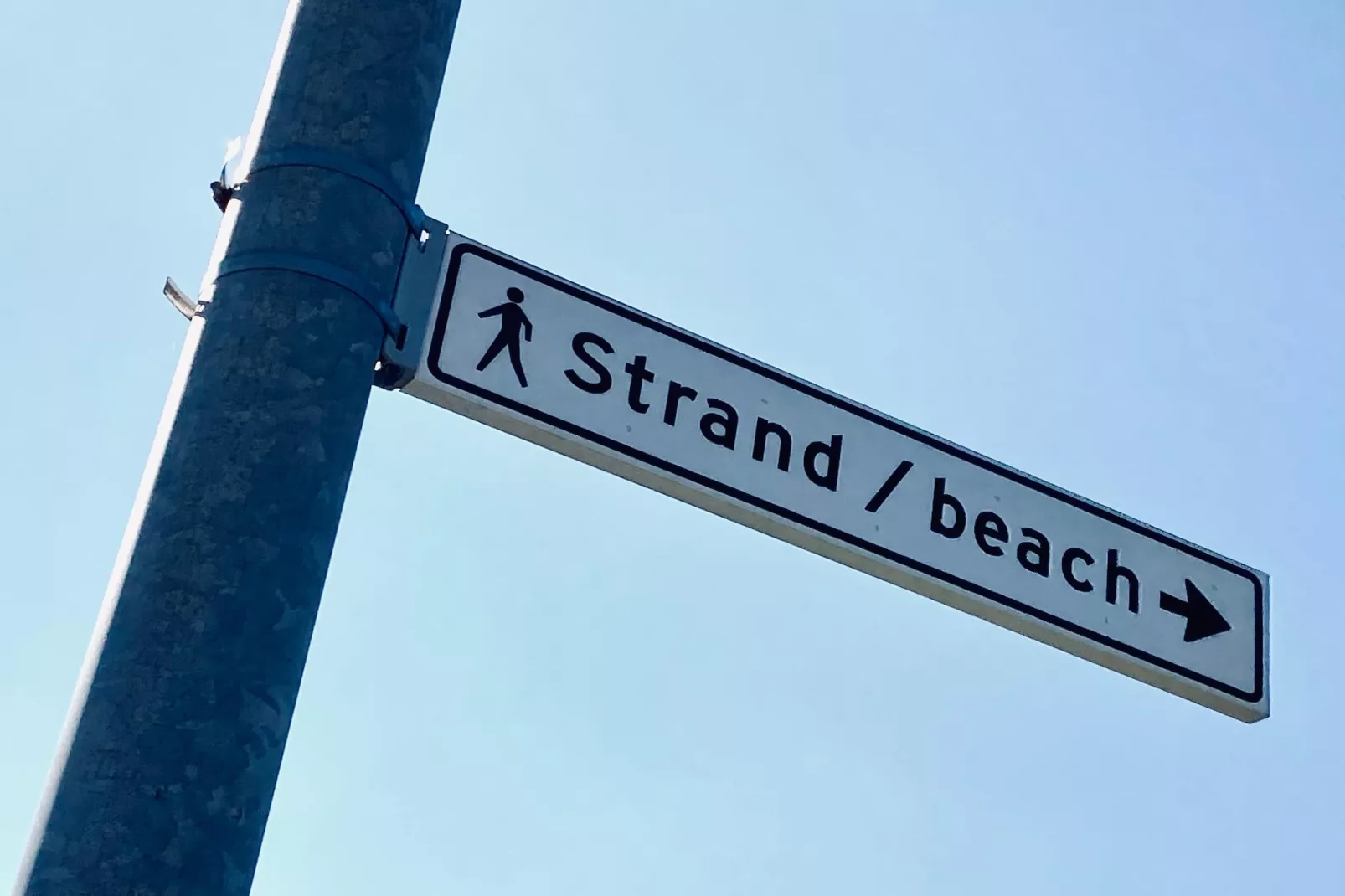 INFINITY-Areas within 1km in summer