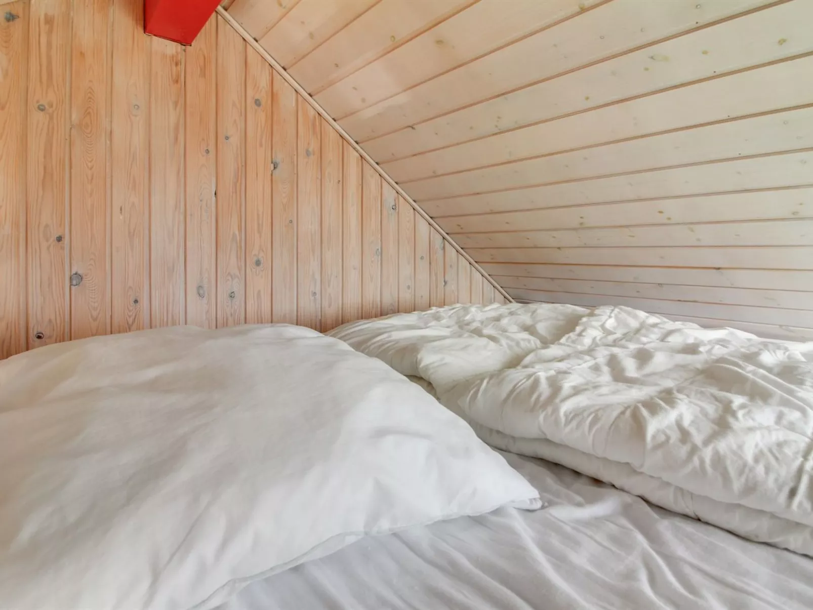 "Wifred" - 250m from the sea-Dedans