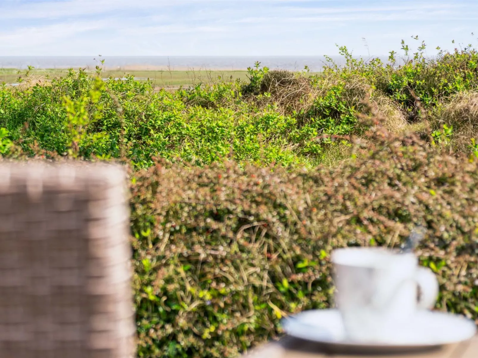 "Sedine" - 3.9km from the sea-Outside