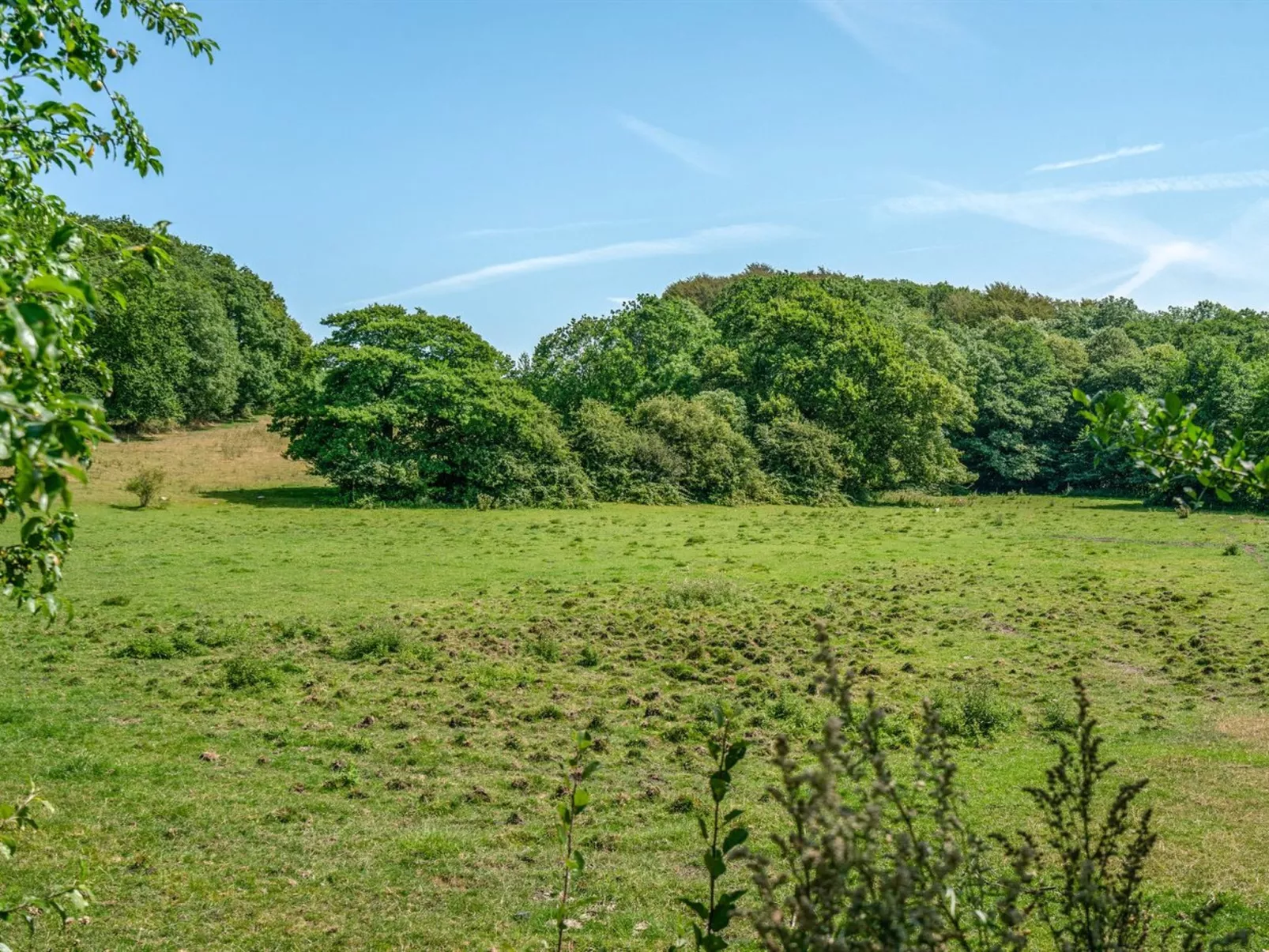 "Jeppe" - 50m to the fjord-Outside