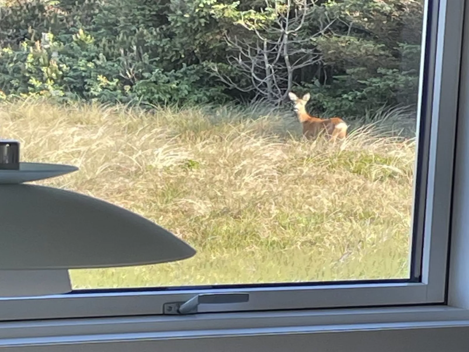 "Carelle" - 300m from the sea-Inside