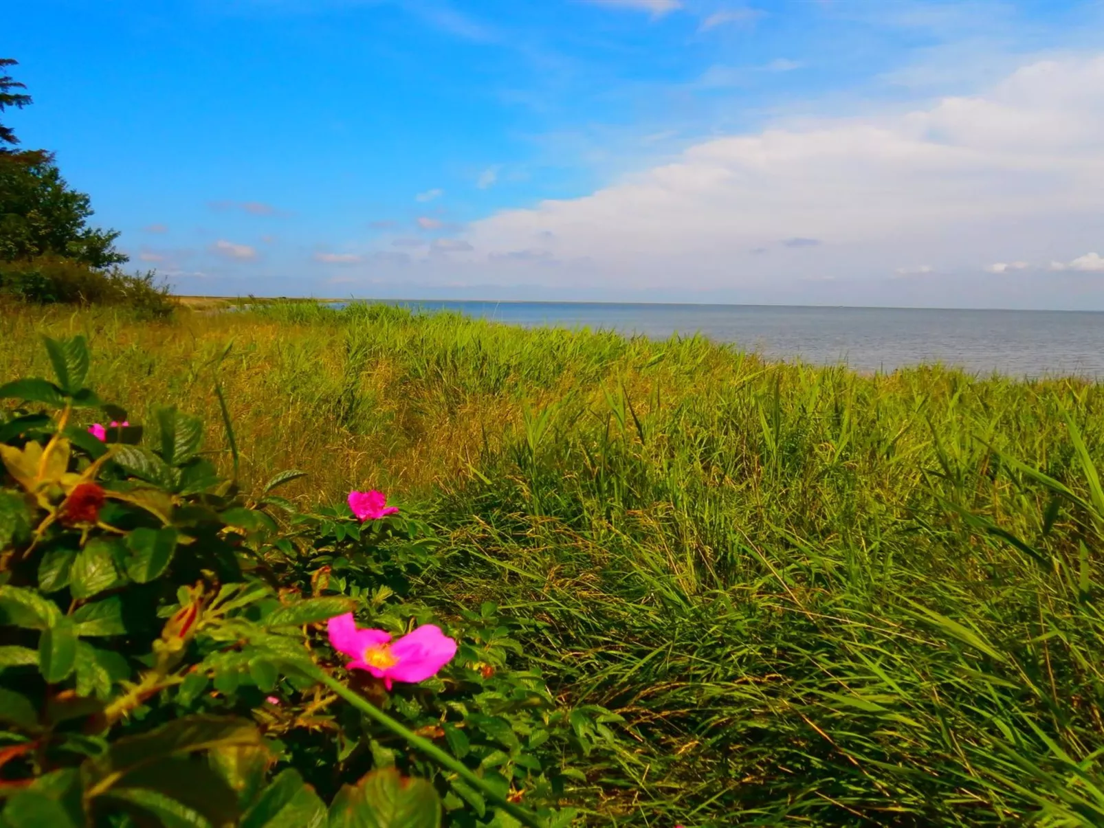 "Vivan" - 3.8km from the sea-Outside