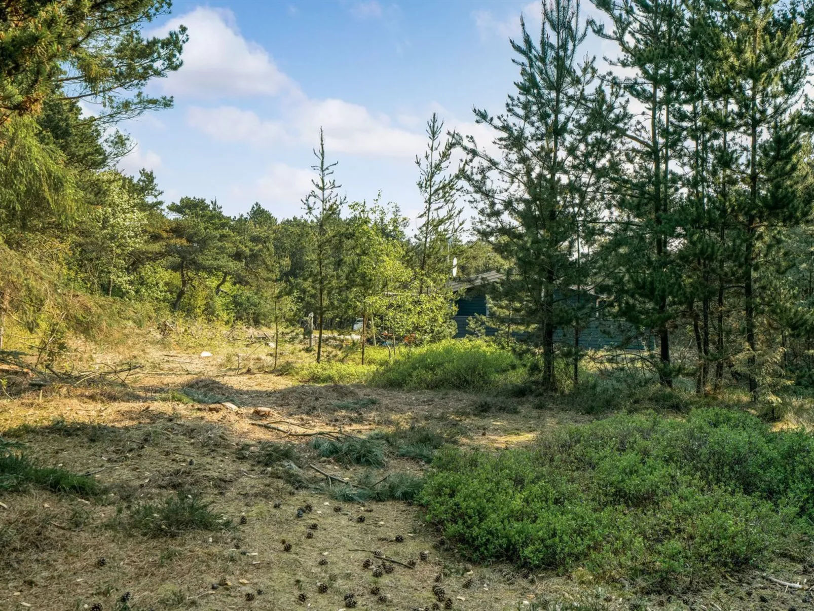 "Herborg" - 1km from the sea-Outside