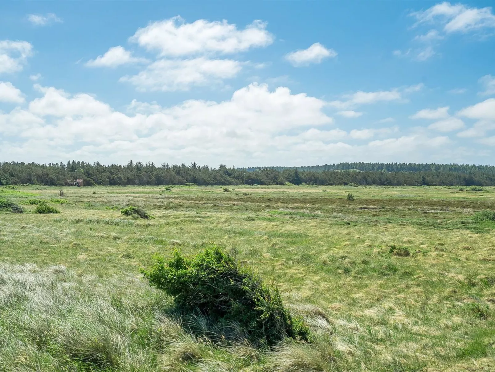 "Tayanita" - 750m from the sea-Draußen