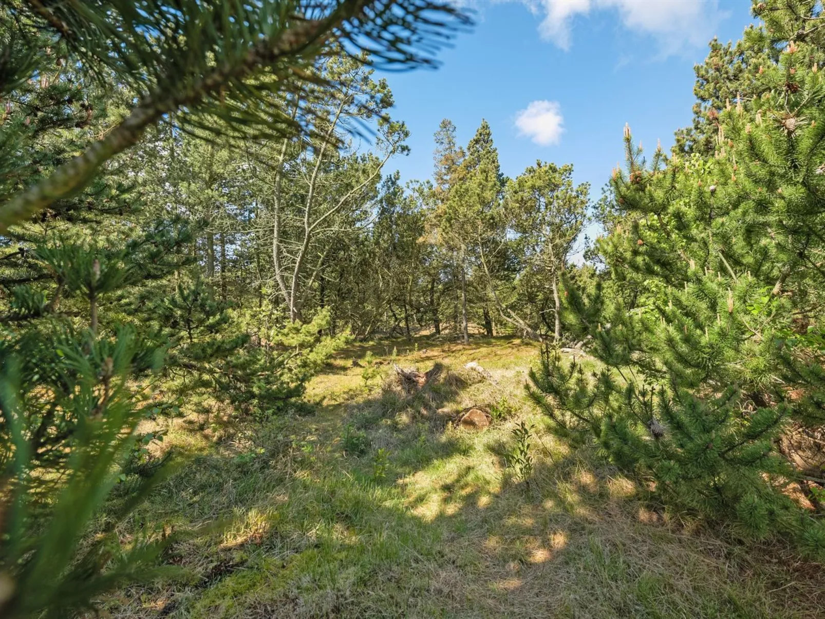 "Bogatin" - 1km from the sea-Draußen