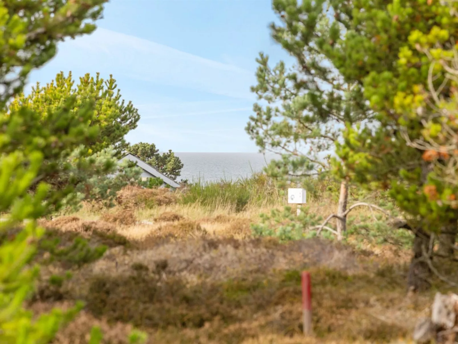 "Bille" - 200m from the sea-Draußen