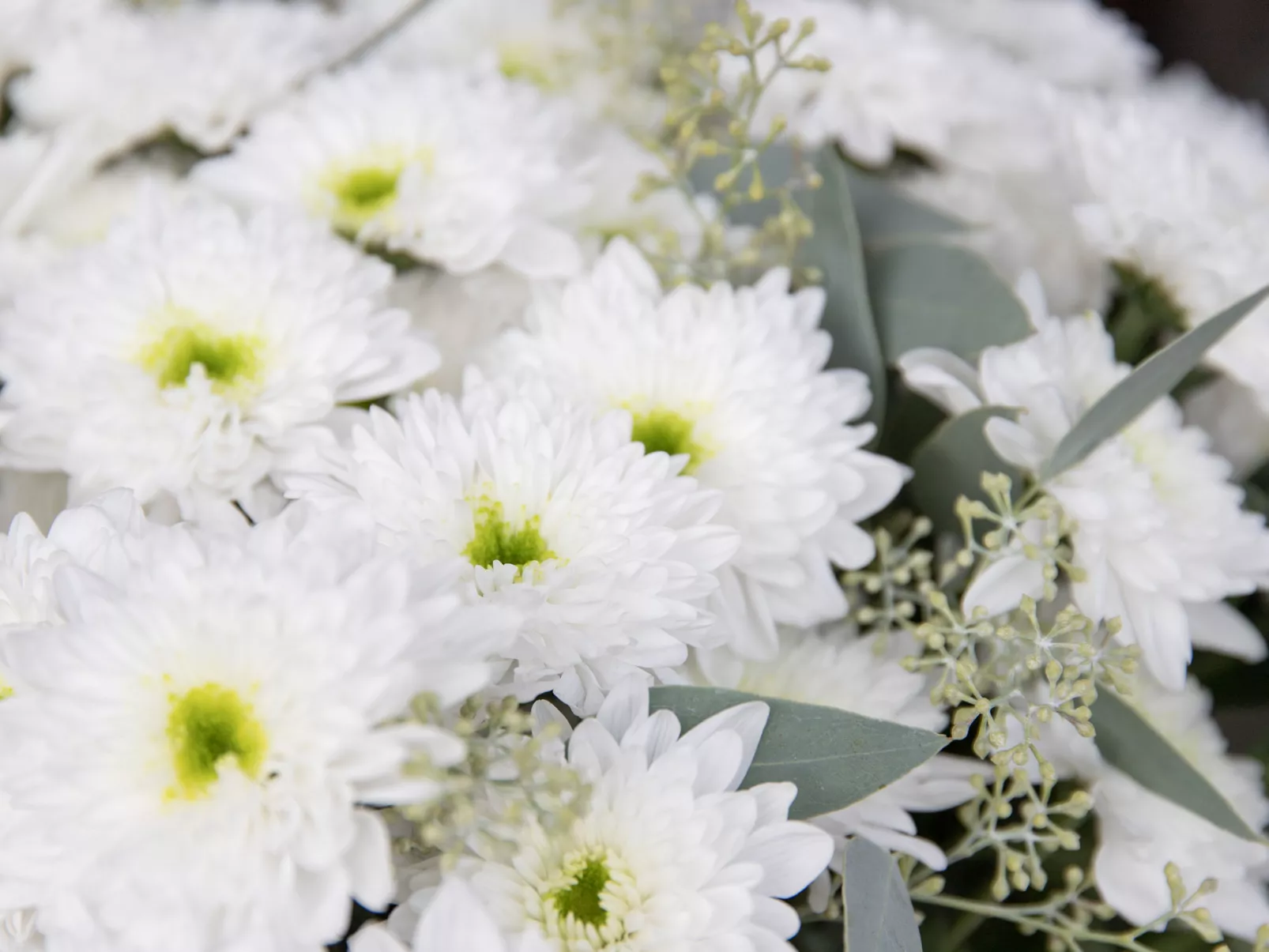 Chesa Piz Padella - St. Moritz-Drinnen