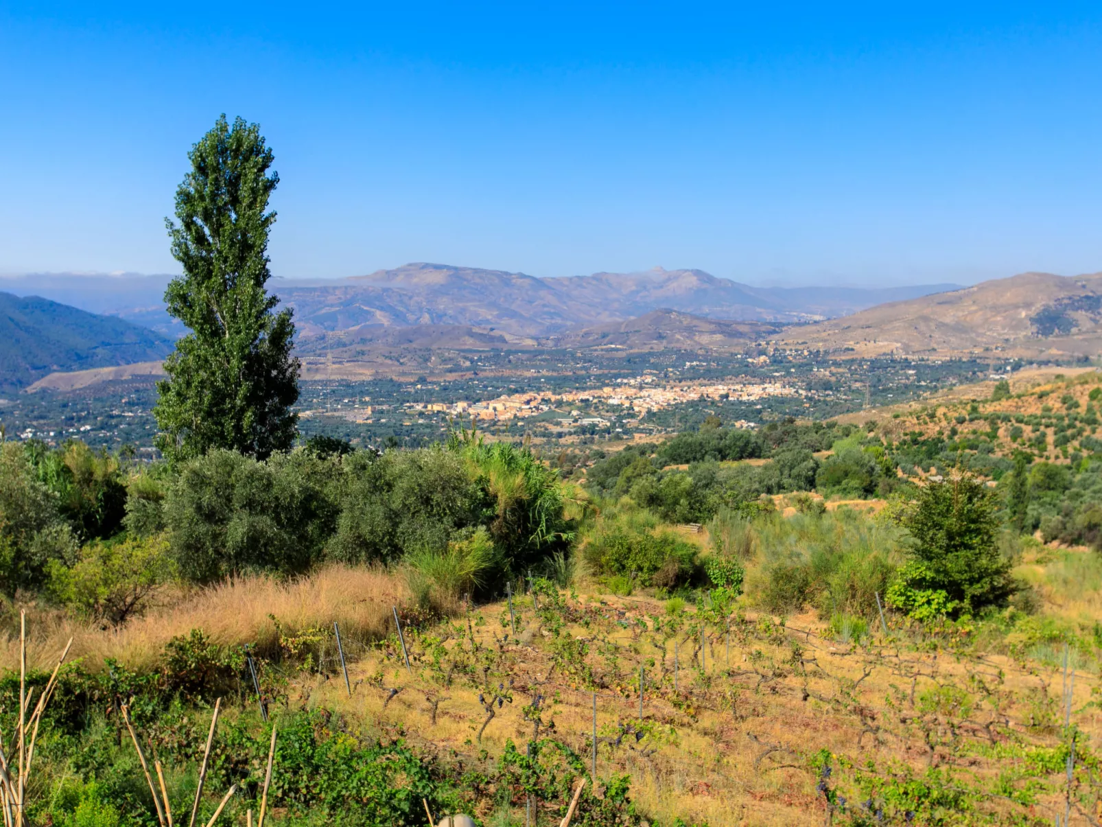 El Cerrillo - Cerro Negro-Outside