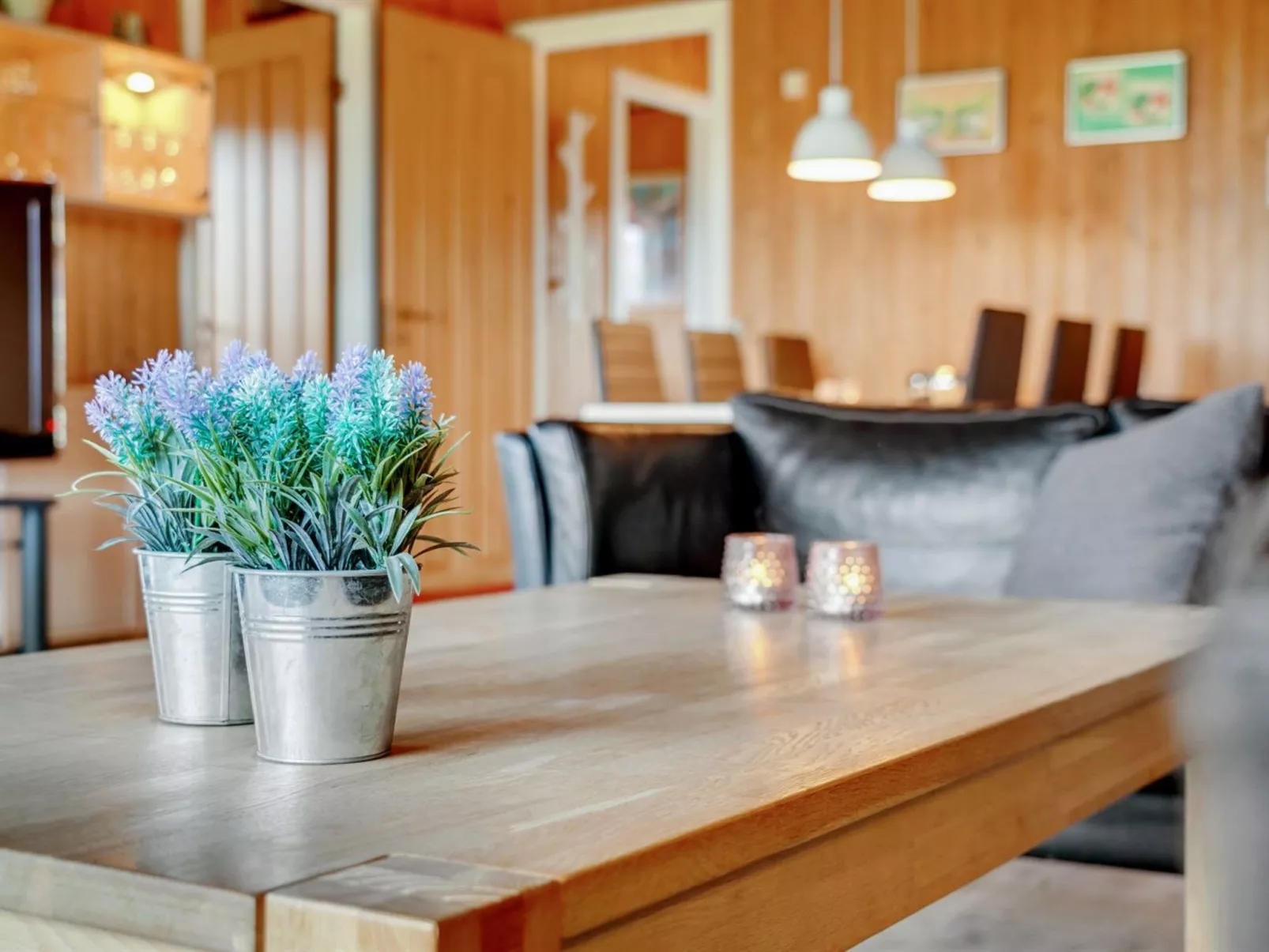 "Denahi" - 400m to the fjord-Dedans