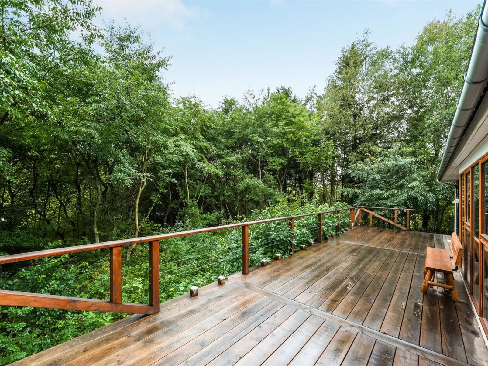 "Nelie" - 40km from the sea-Outside