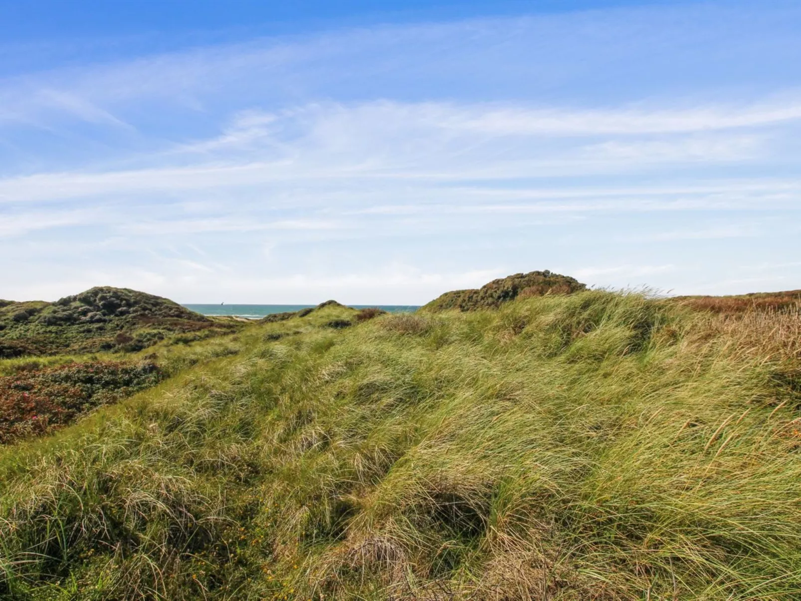 "Gebko" - 150m from the sea-Dehors