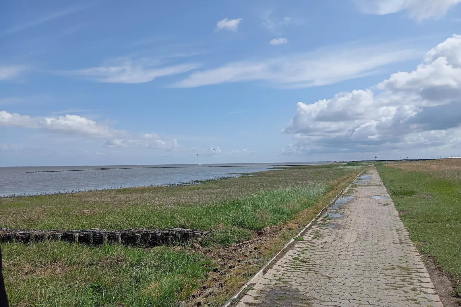 Ferienhaus Seeschwalbe-Areas within 5km in summer