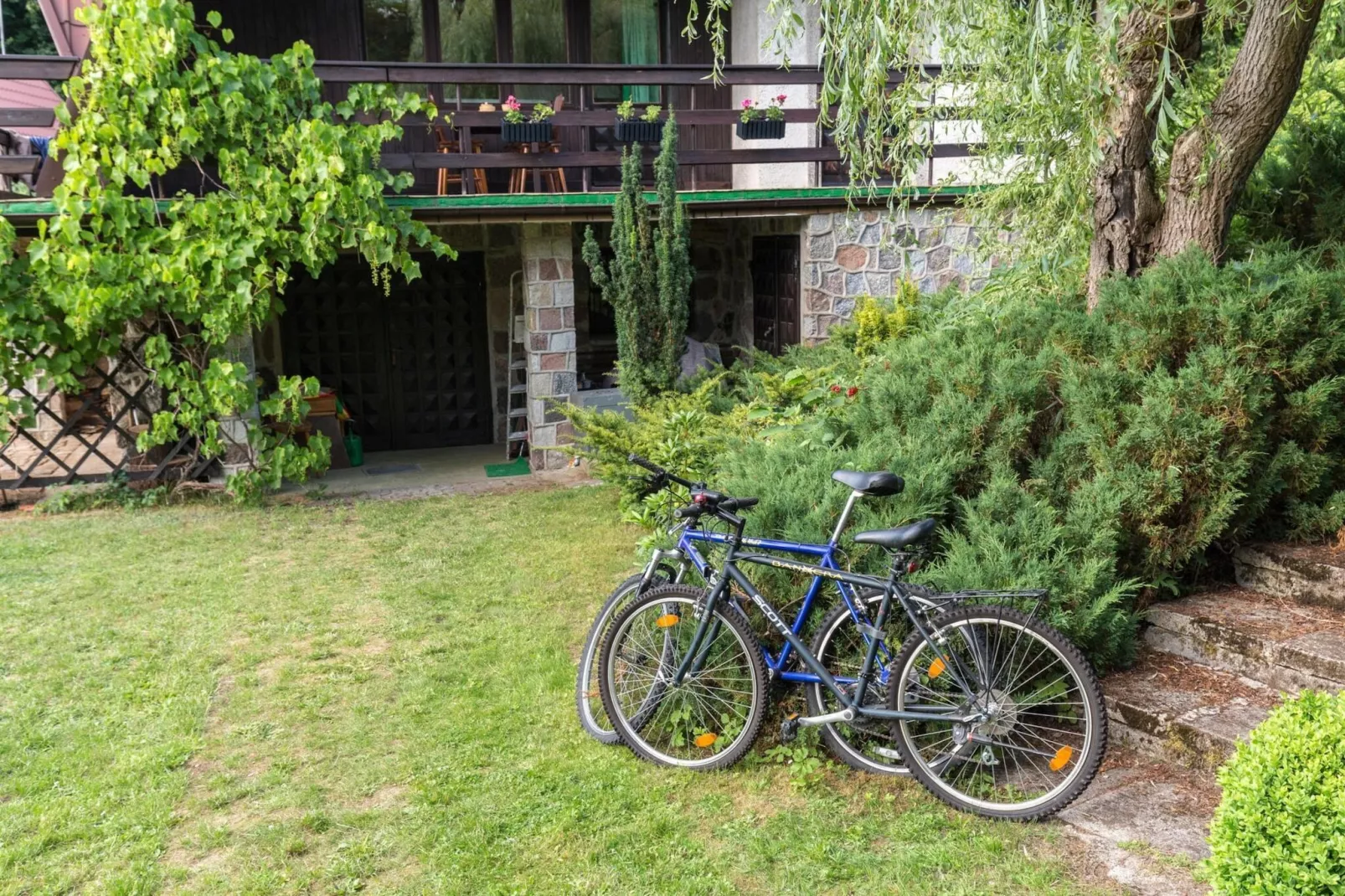 Dom wakacyjny dla 5 osób w Przewozie-Exterior in summer