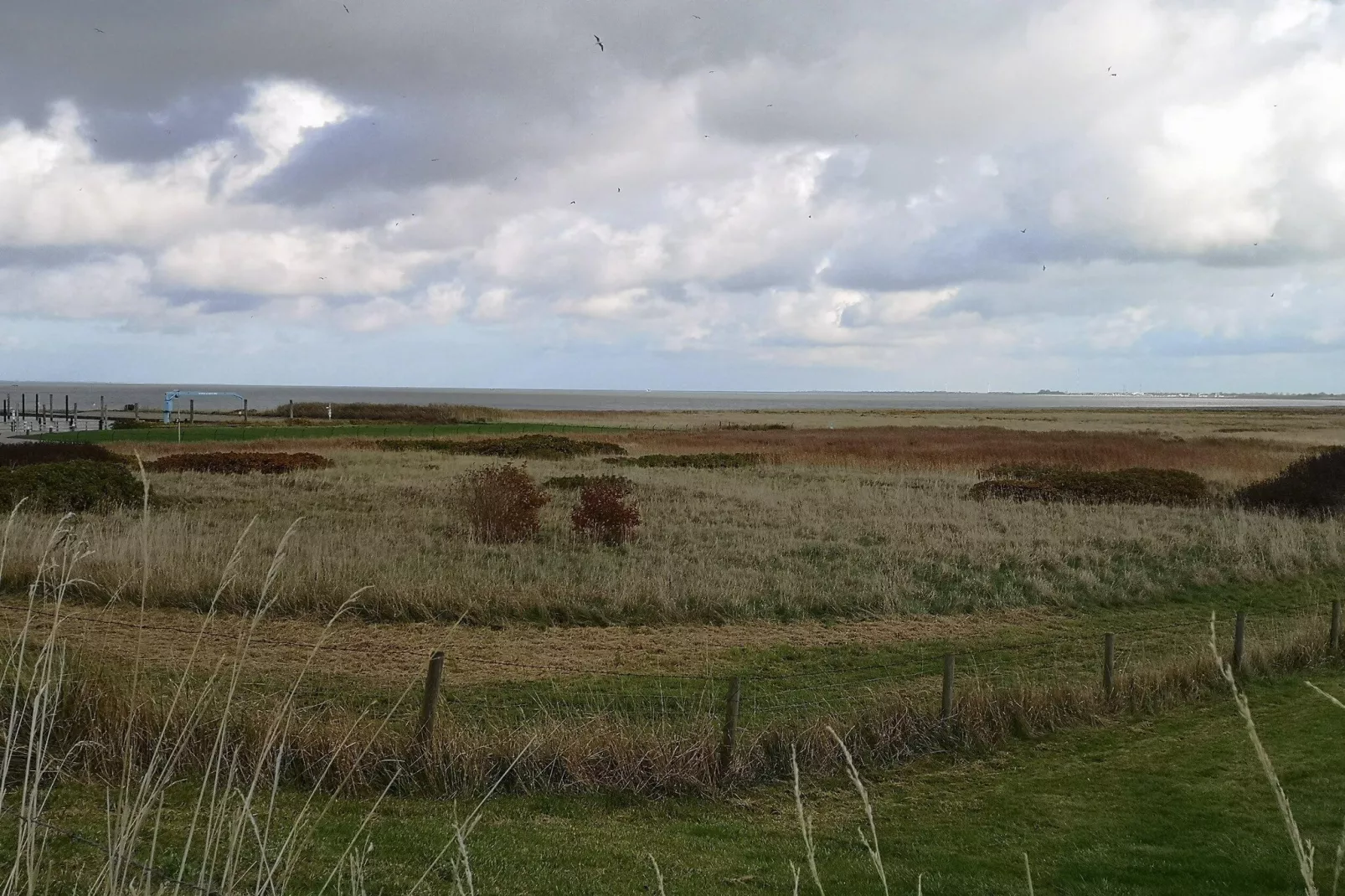 Doppelhaushälfte Wattwurm 34-Gebiete Sommer 5 km