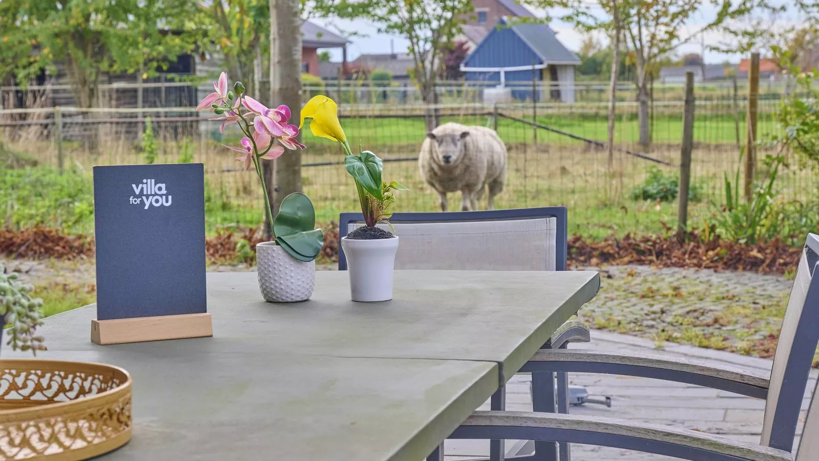 Quanto A-Terrasse/Balkon