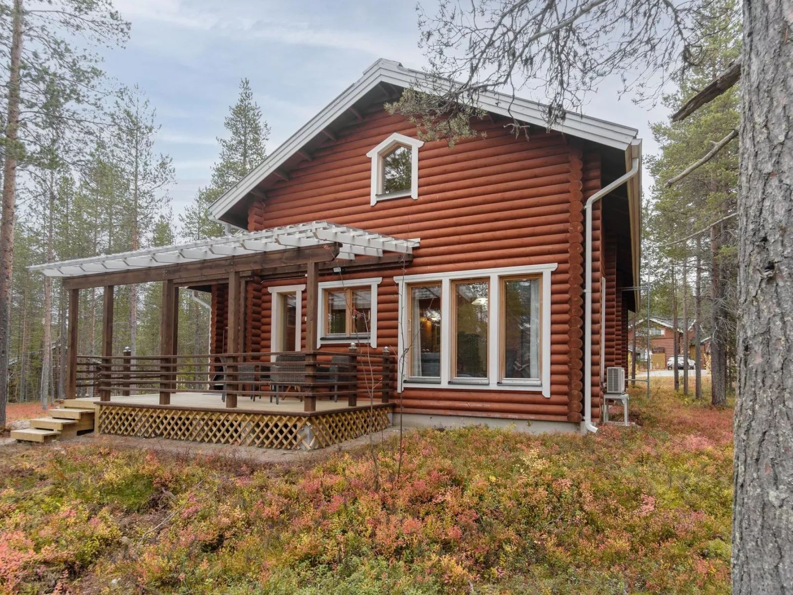 Kevätruska b-Dedans