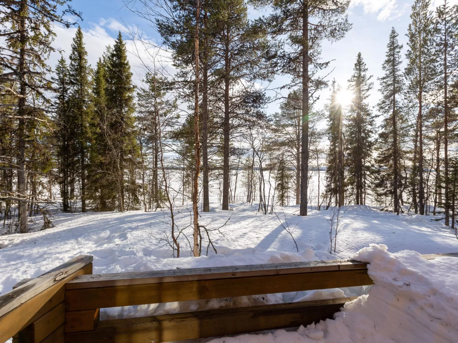 Lappi dream house-Inside