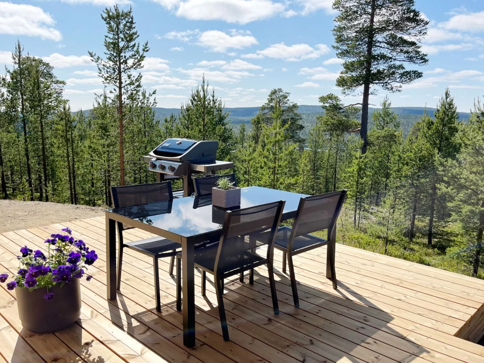 Villa horihane-Drinnen