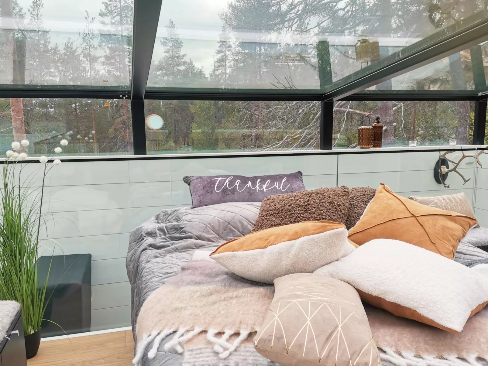 Levi secret igloo revontuli 10d-Inside