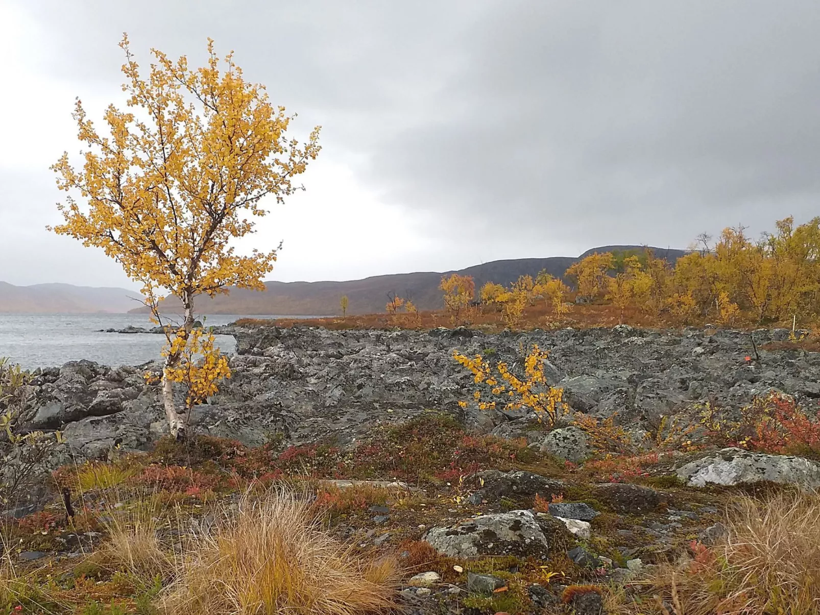 Willa kiiruna-Drinnen