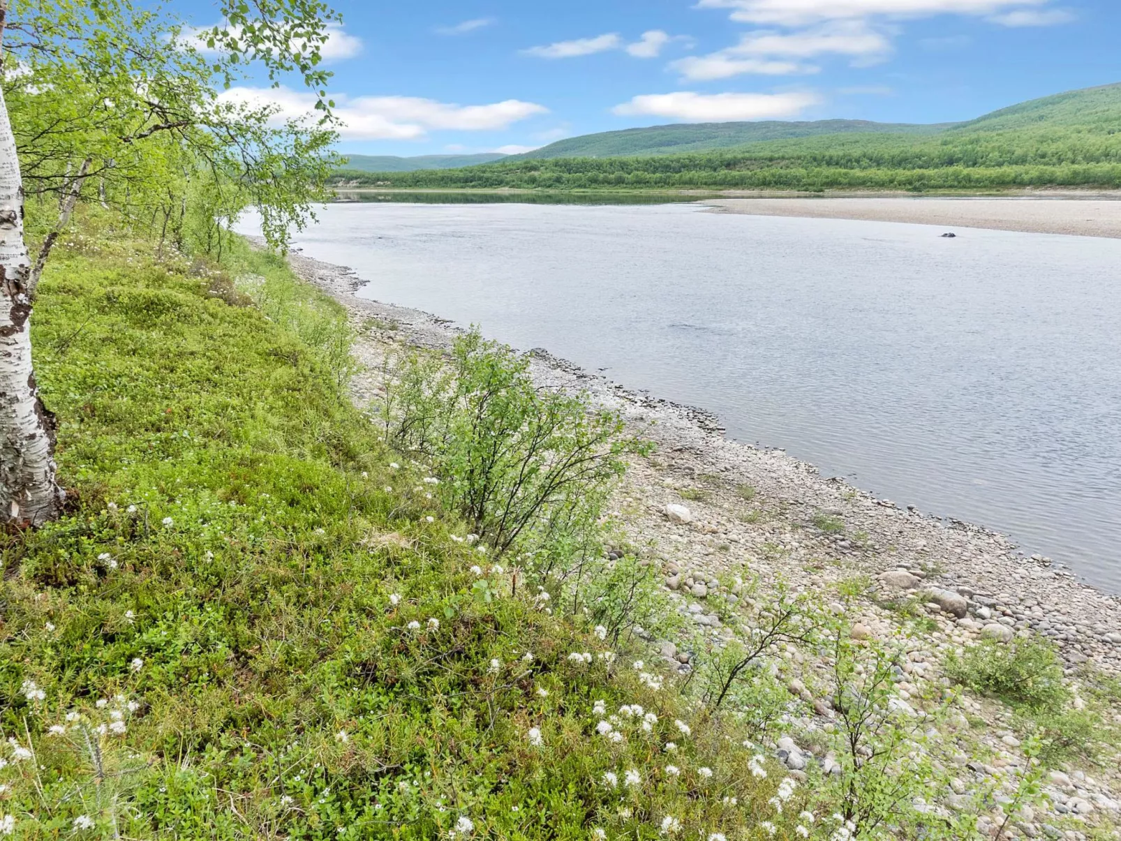 Mökki tenolla-Drinnen