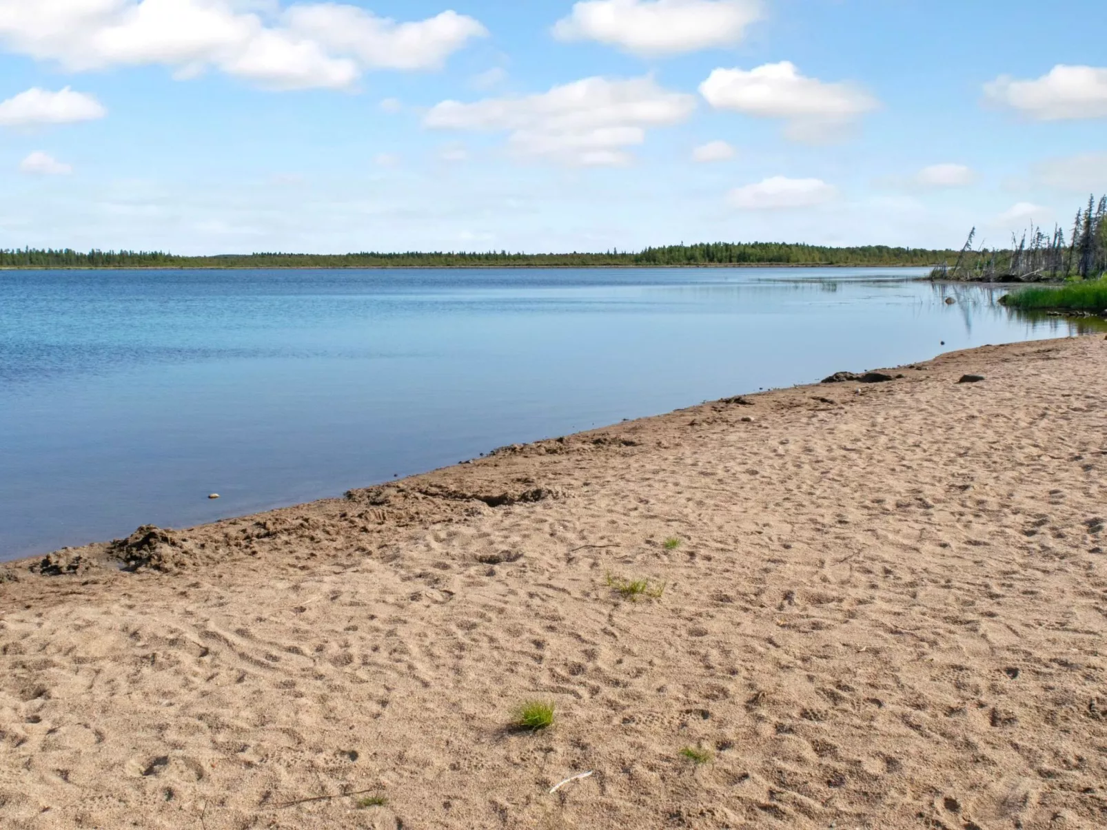 Mötönpesä 2-Drinnen