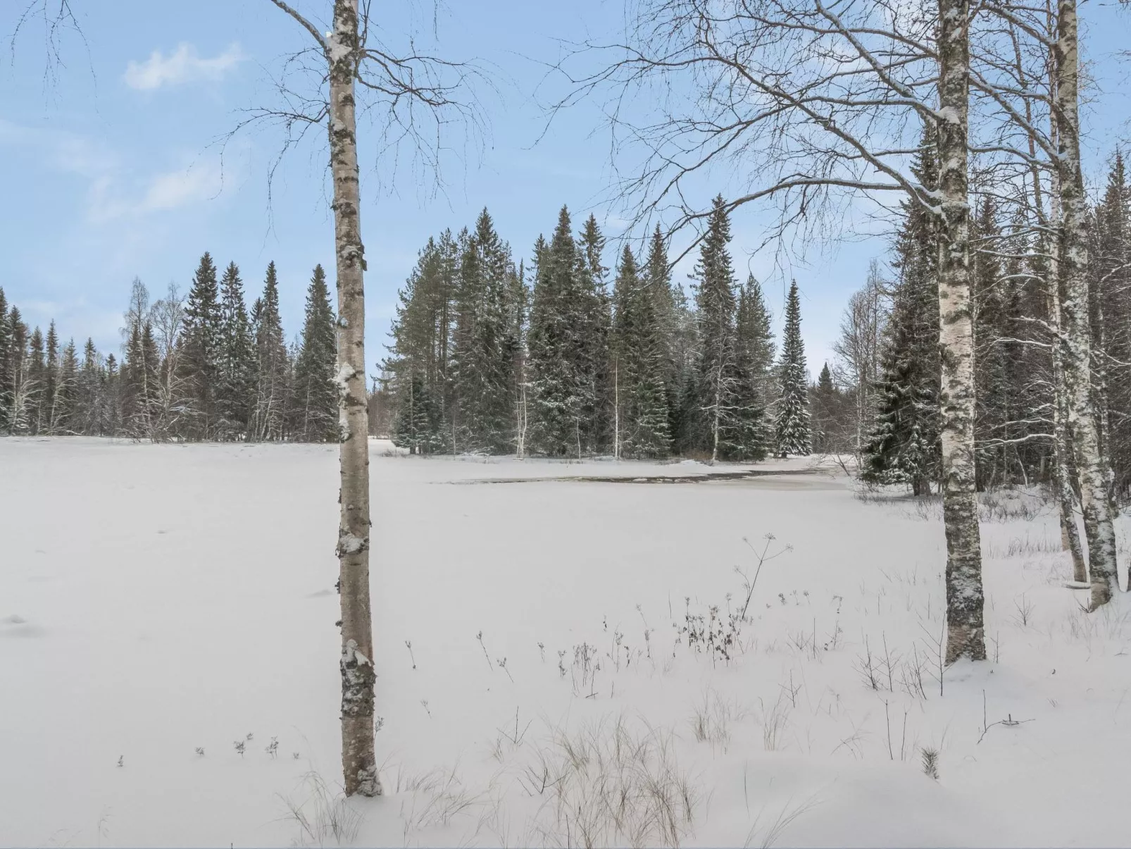 Vaahtissuvanto-Inside