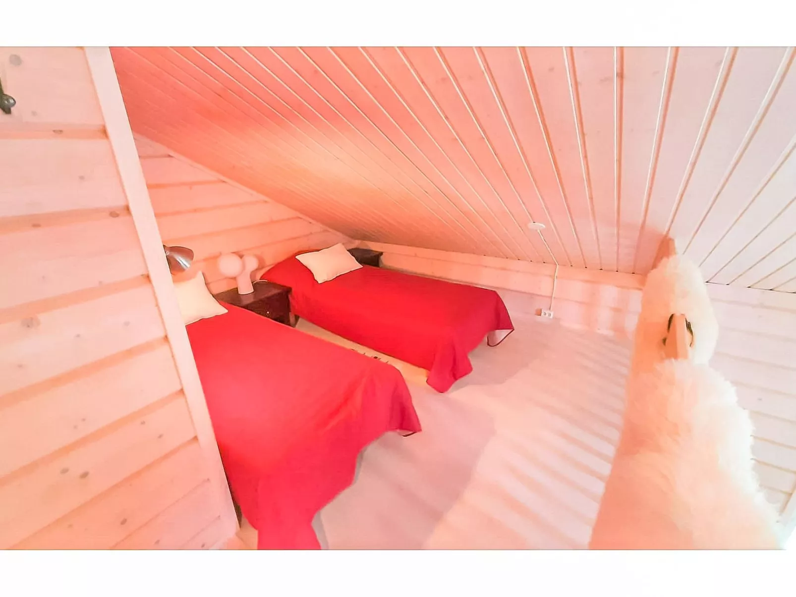 Ylläs mustikka b-Drinnen