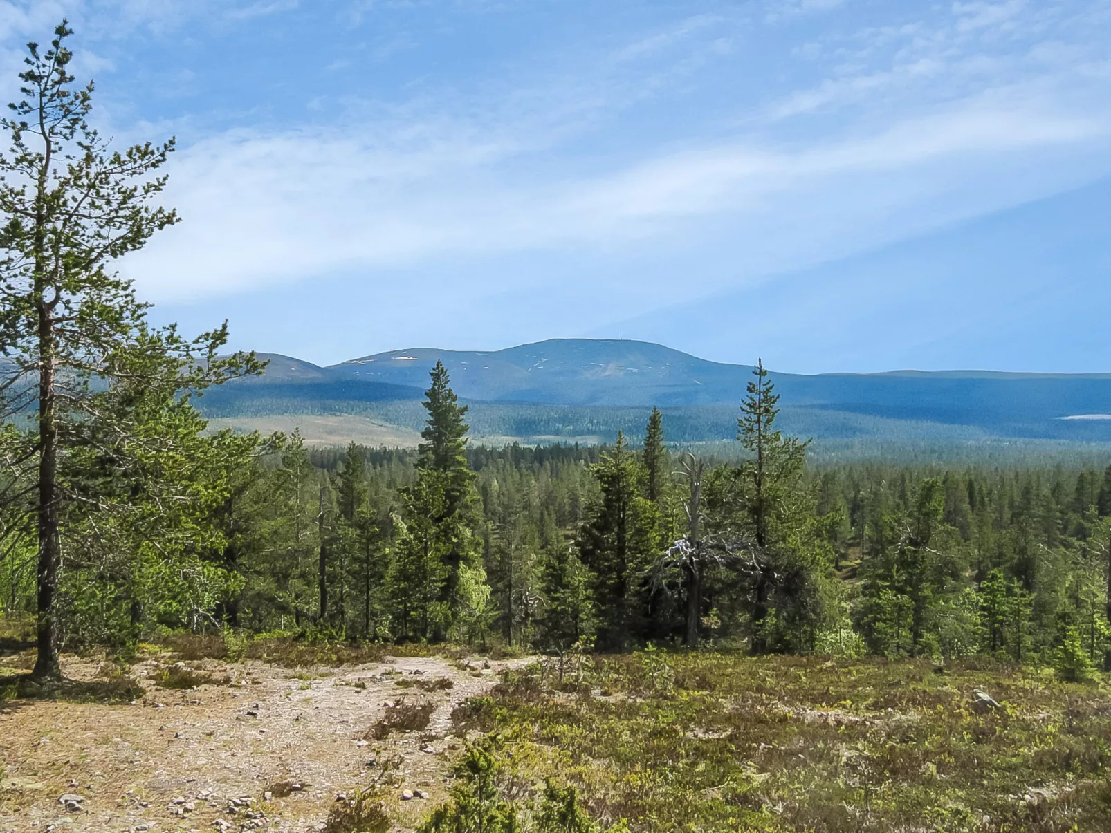 Yllästar 3 as 601-Dedans