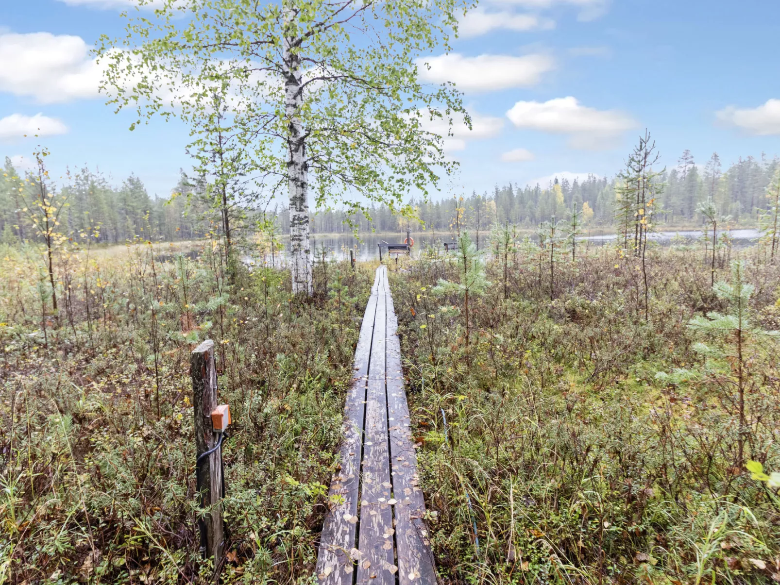 Koppelokangas-Drinnen