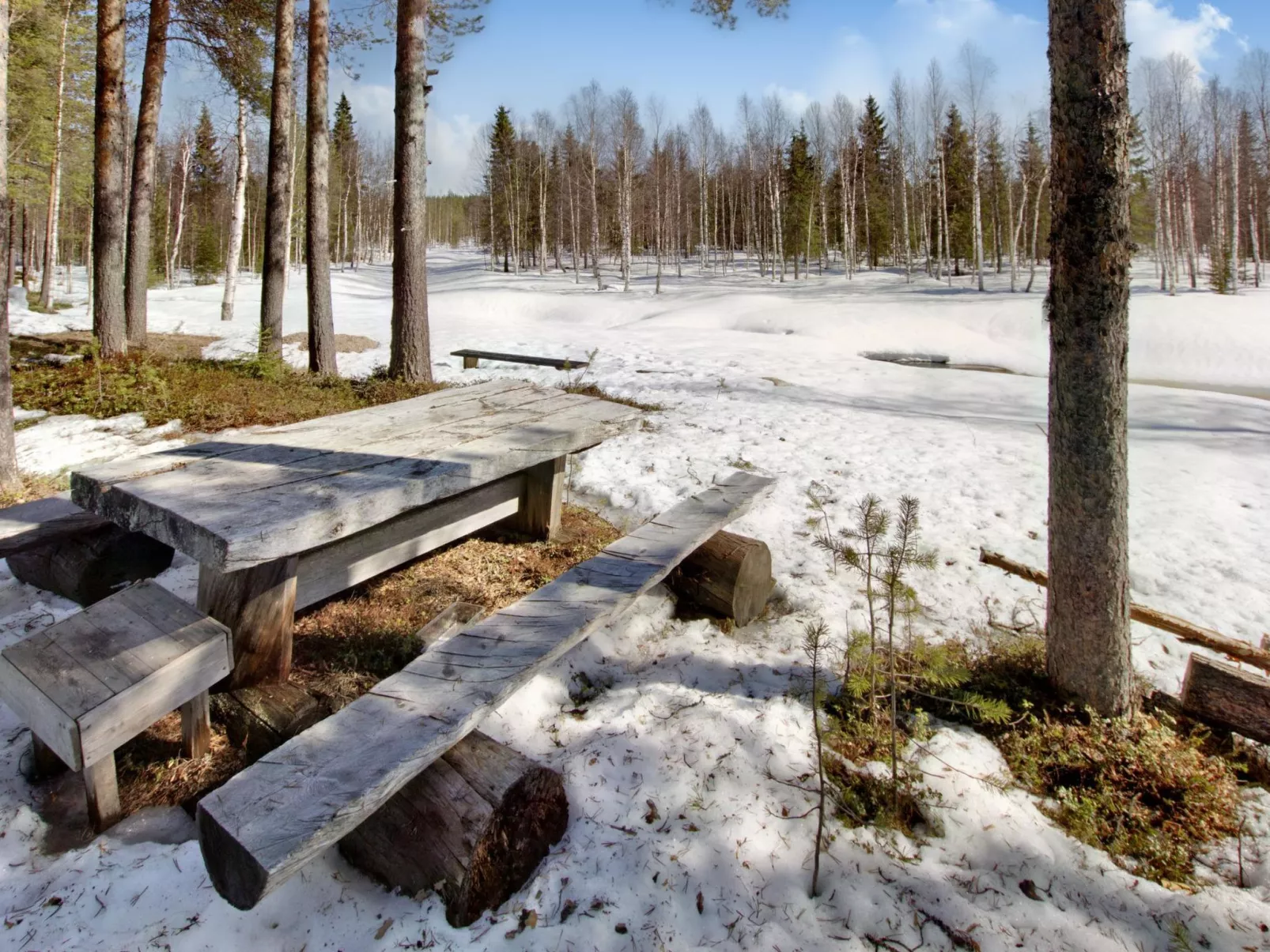 Hankisääski-Drinnen