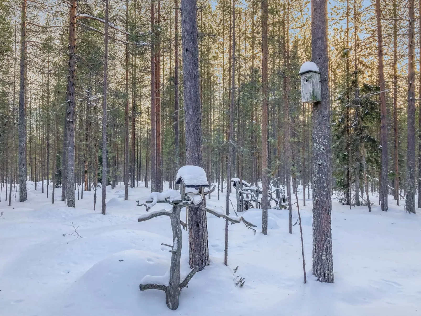 Rukanlumous 1-Drinnen