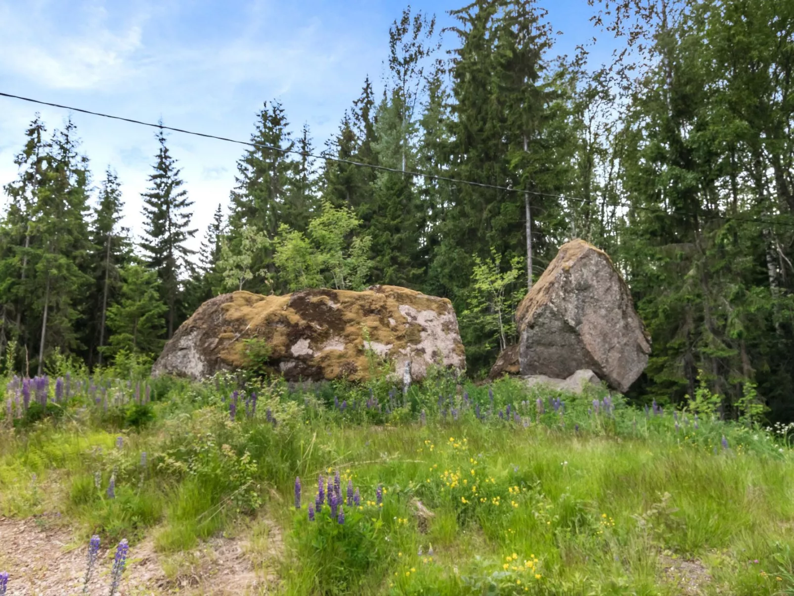 Villa pihlaja-Inside