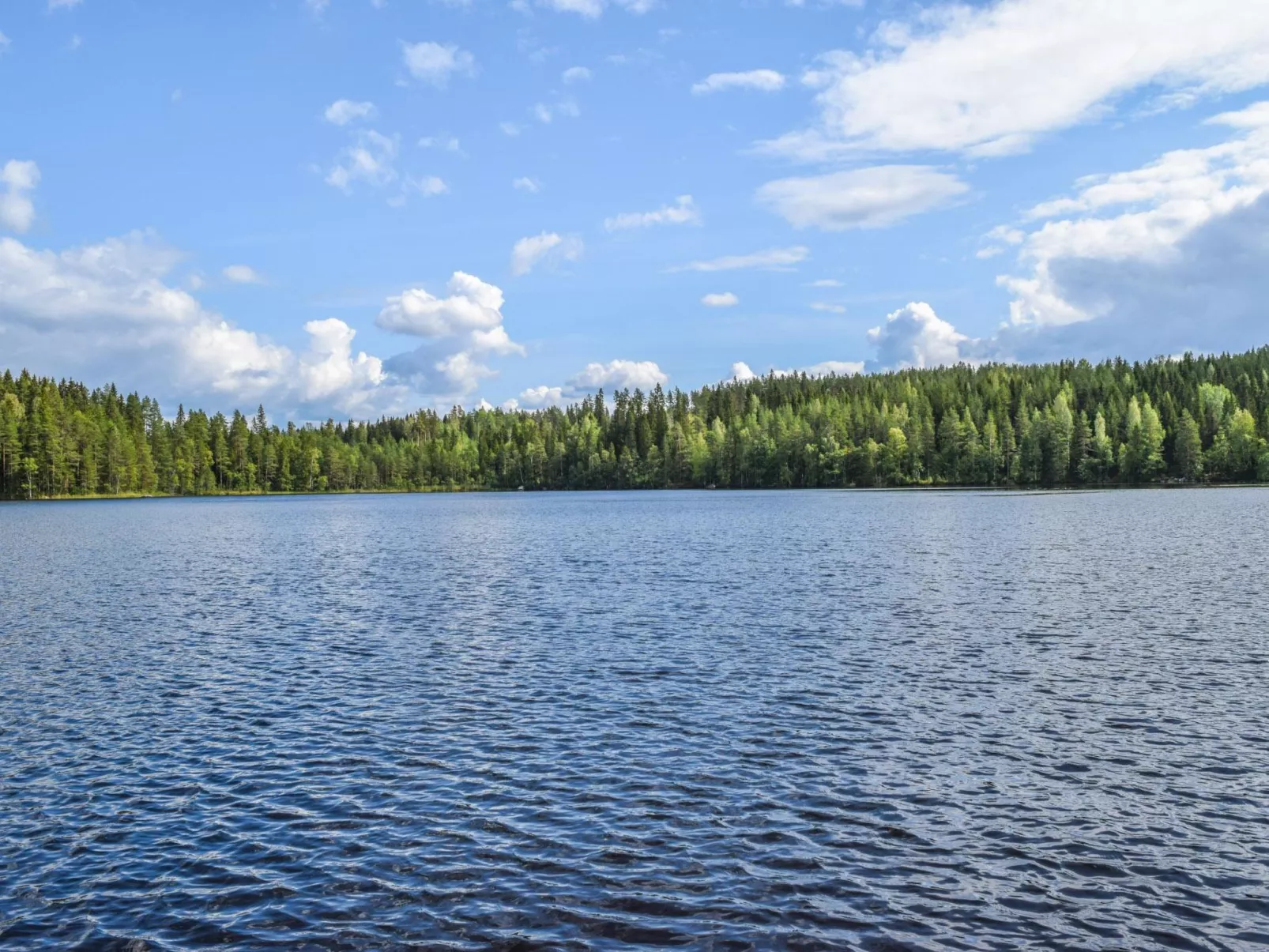 Lekojärven herra-Dedans