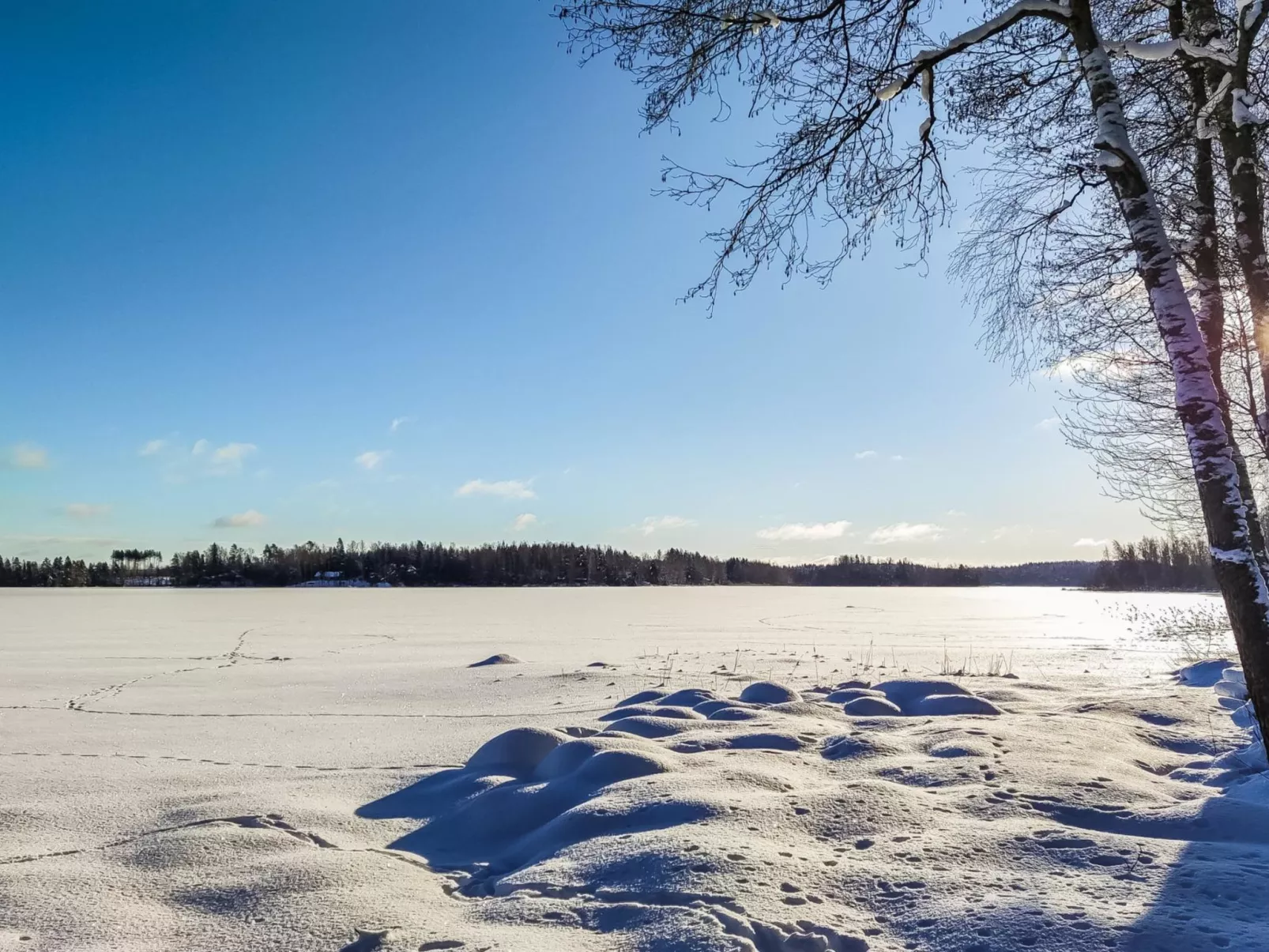Annelinniemi-Drinnen