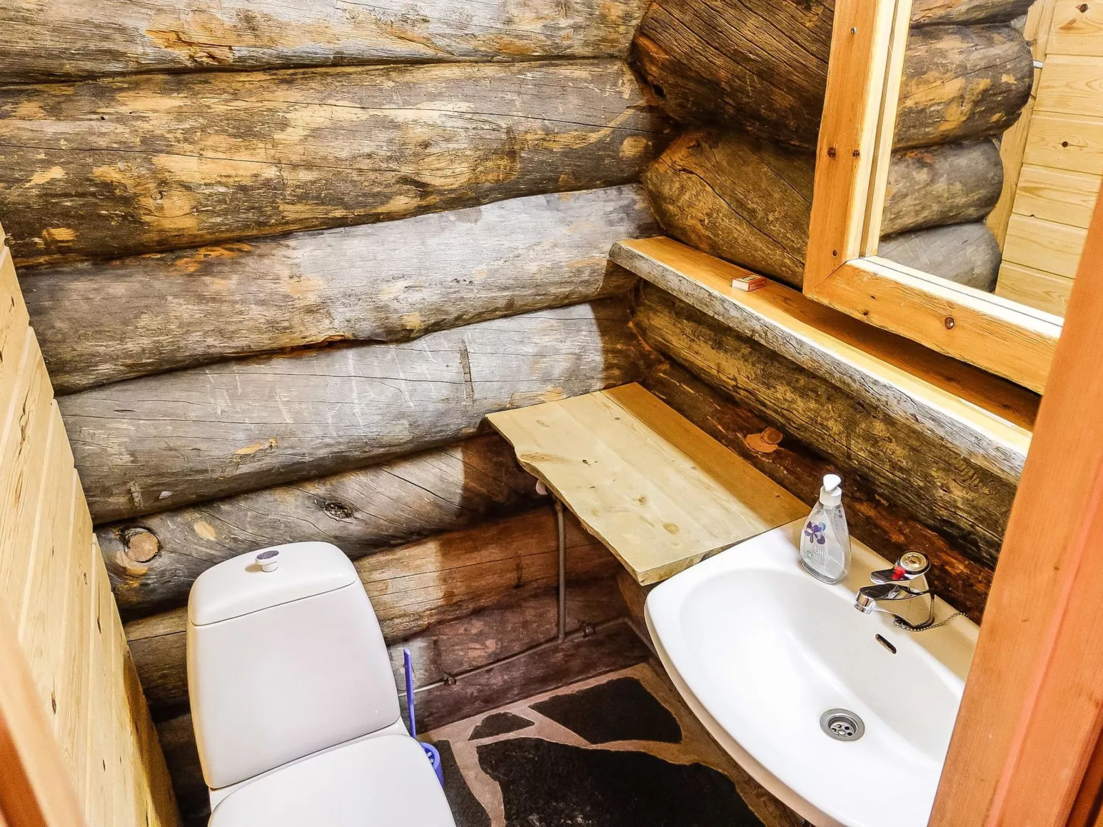 Sallanhelmi c2-Dedans