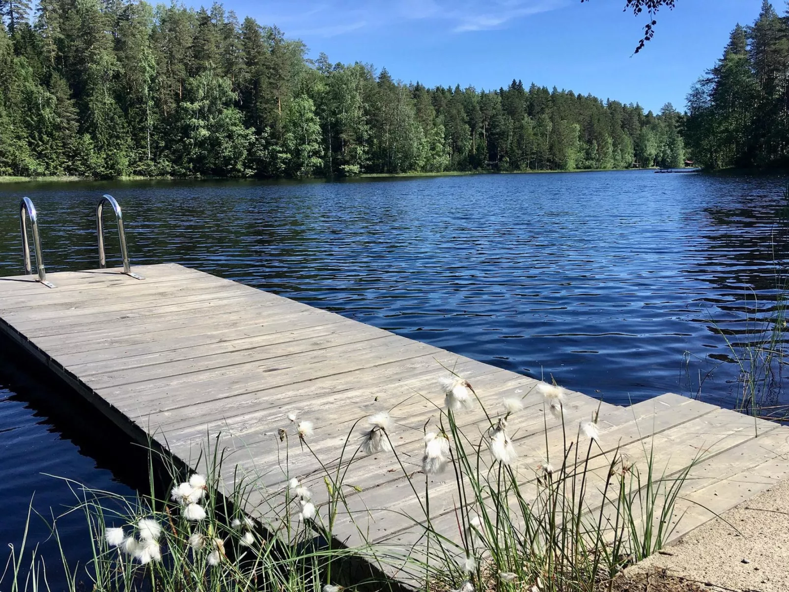 Villa renkaranta-Dedans