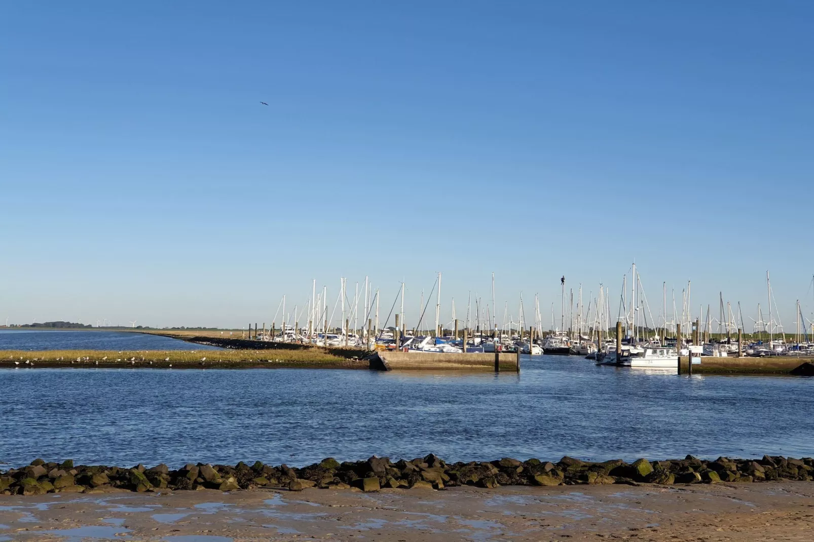 Ferienhaus Mühlenblick 07-Areas within 5km in summer