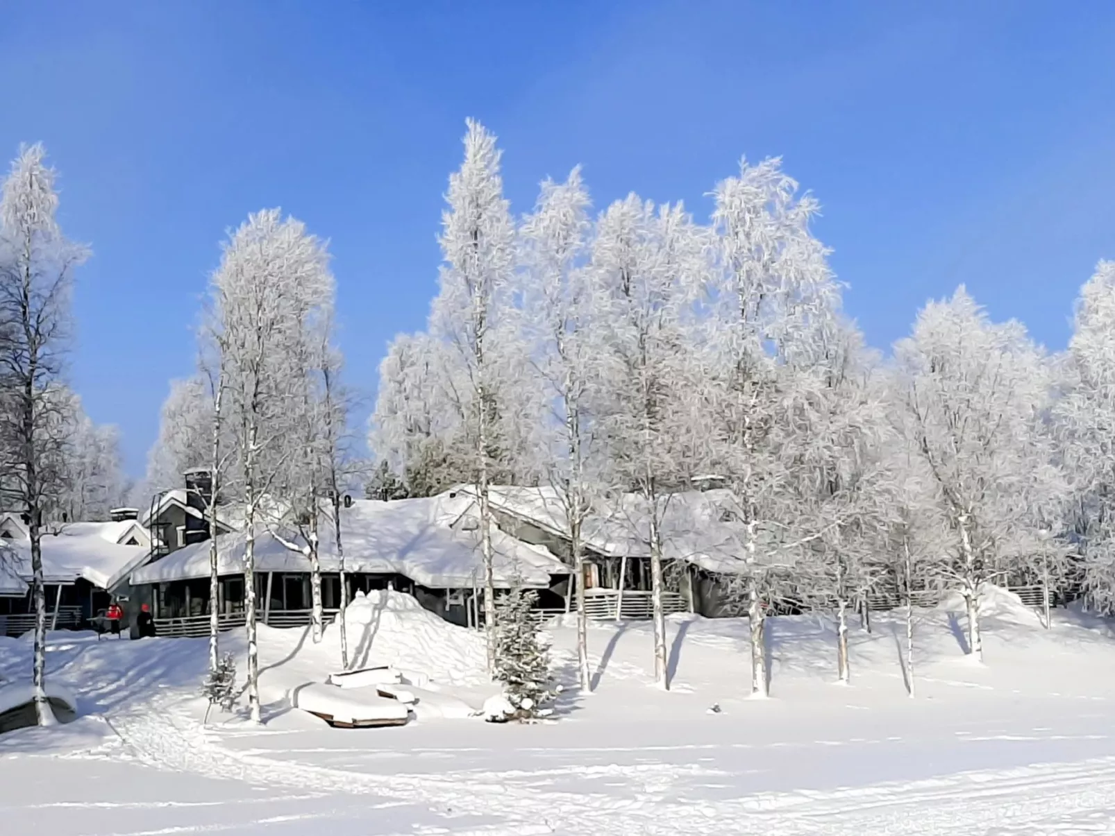 Lomakivakka b6-Dedans