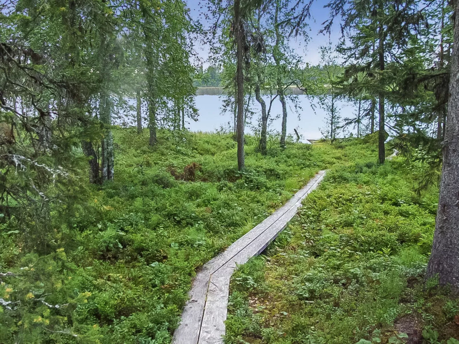 Seitsemän savua 6-Dedans