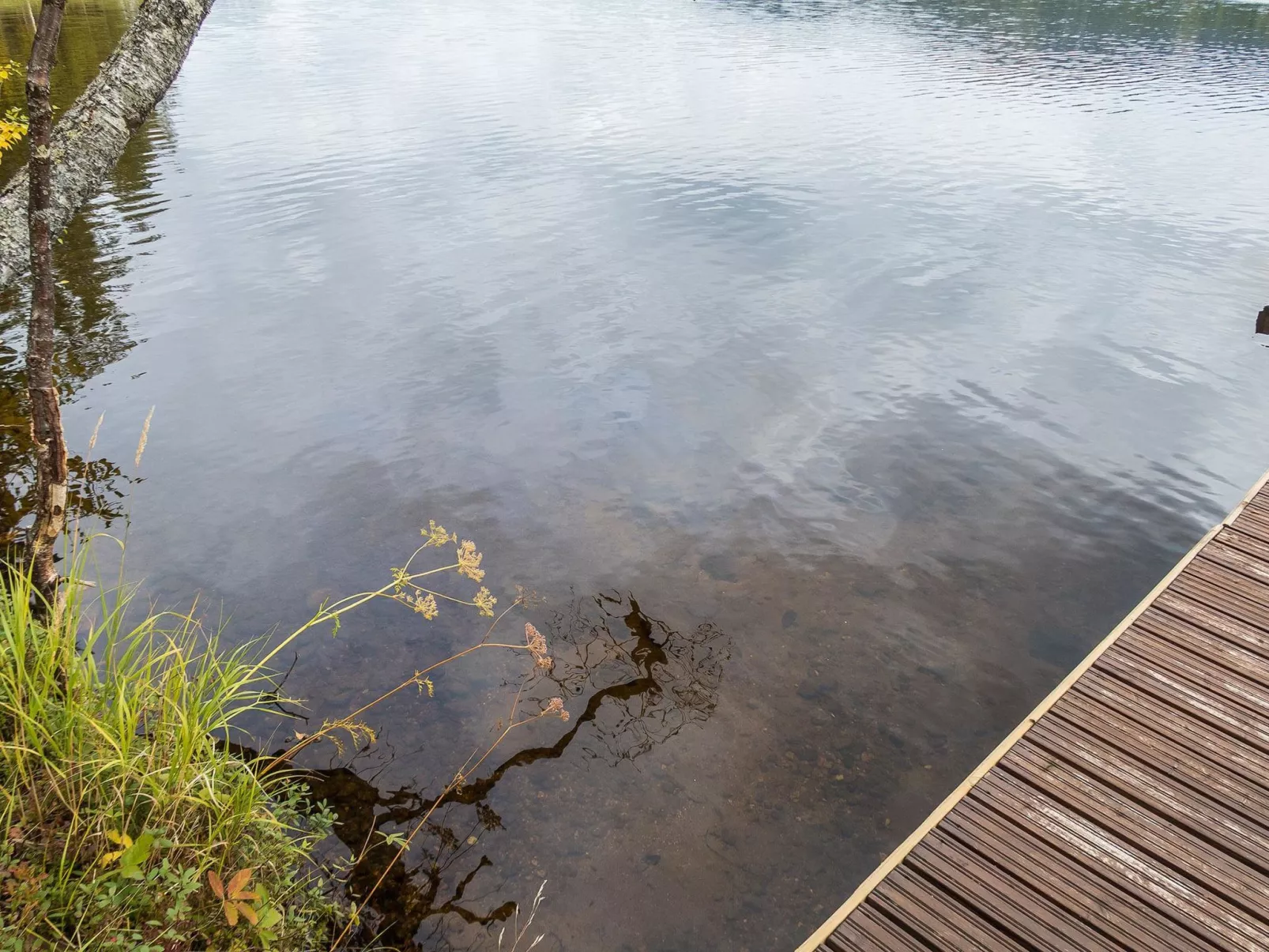 Rukatörmä, kesäjärvi-Dedans