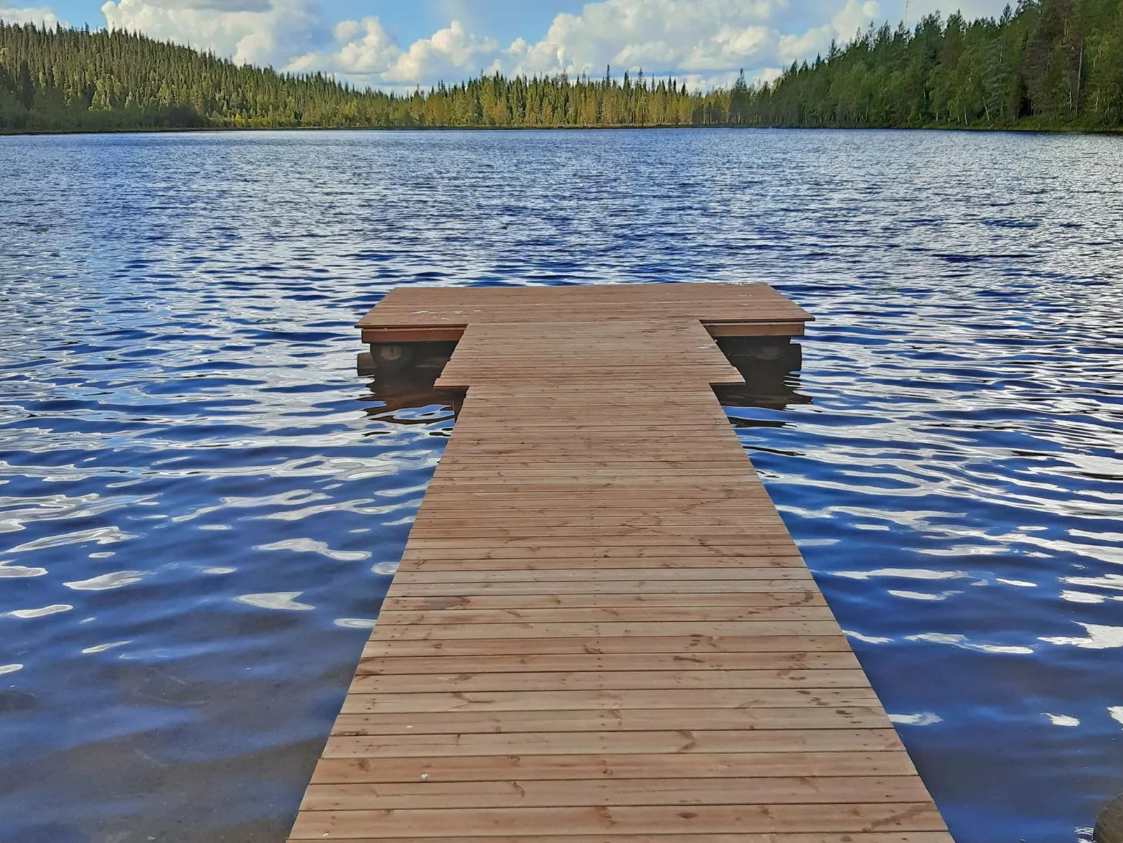 Mustalampi 2 kurkiaura-Dedans