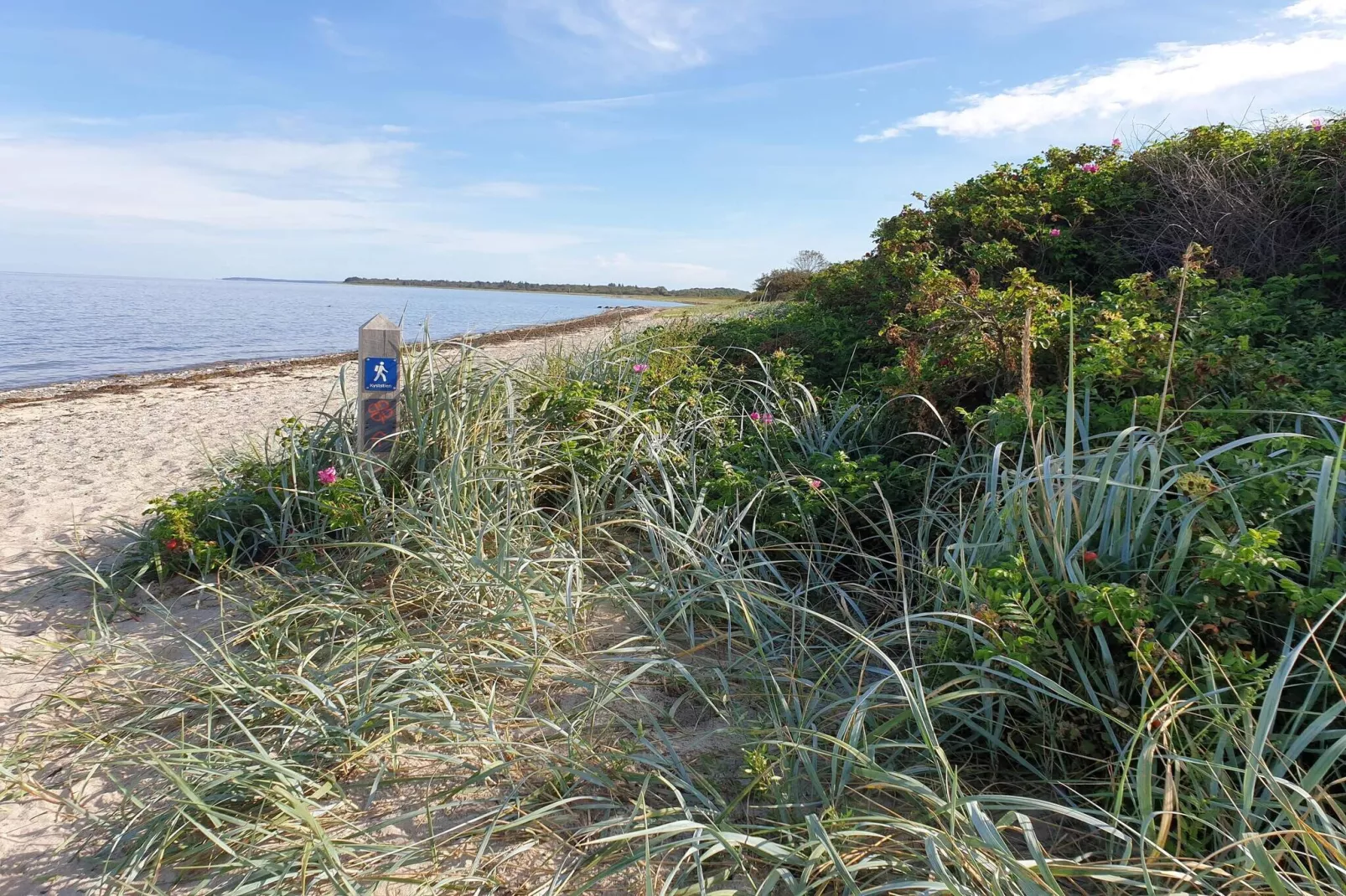 5 star holiday home in Bogense-Untagged