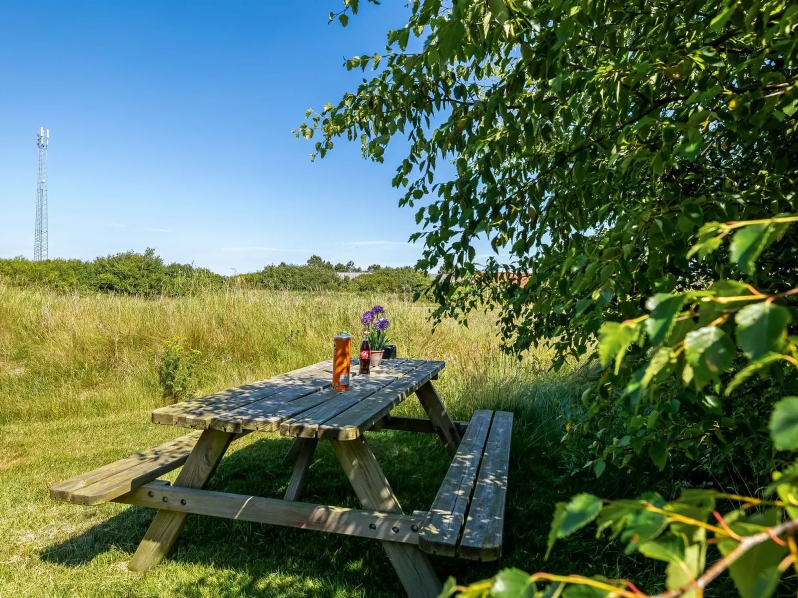 "Ernesta" -  from the sea-Outside