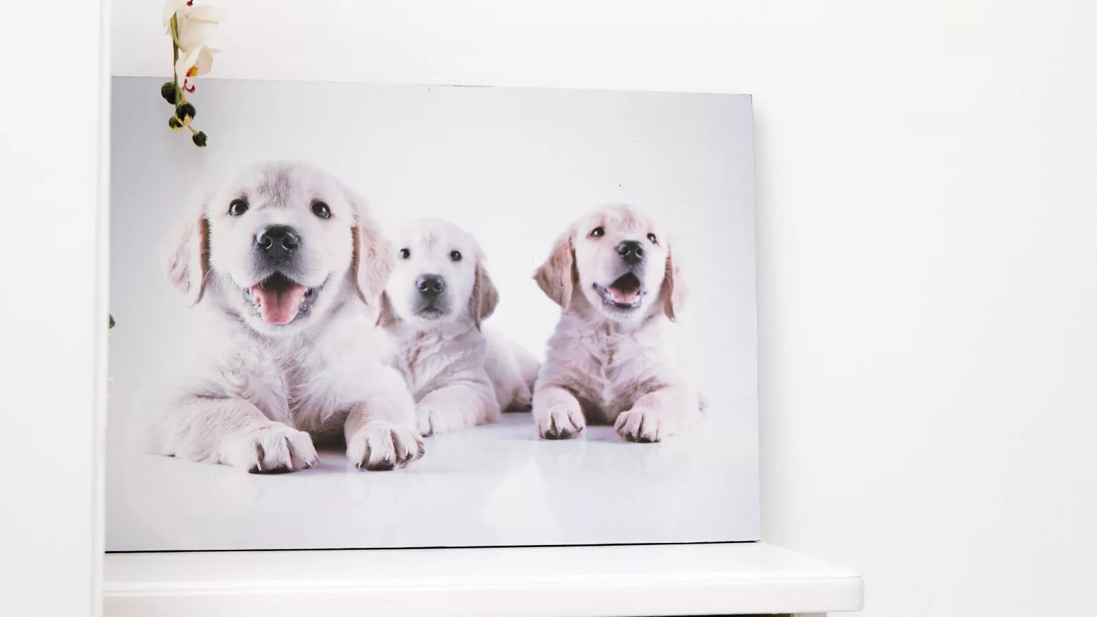 Hubertus III-Ambiance