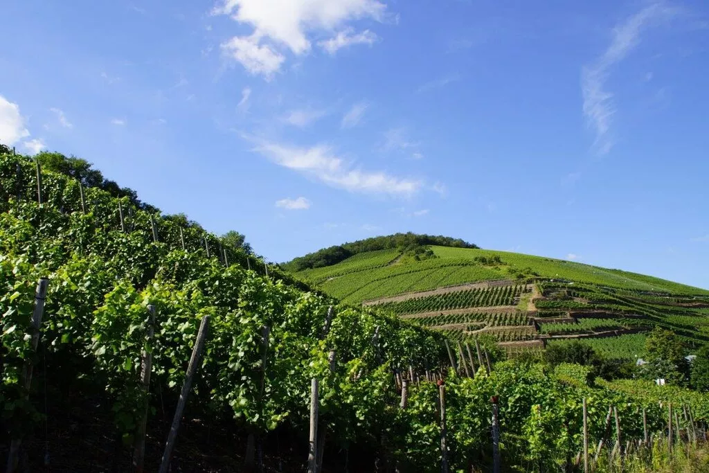 187298-Nicht zugeordnet