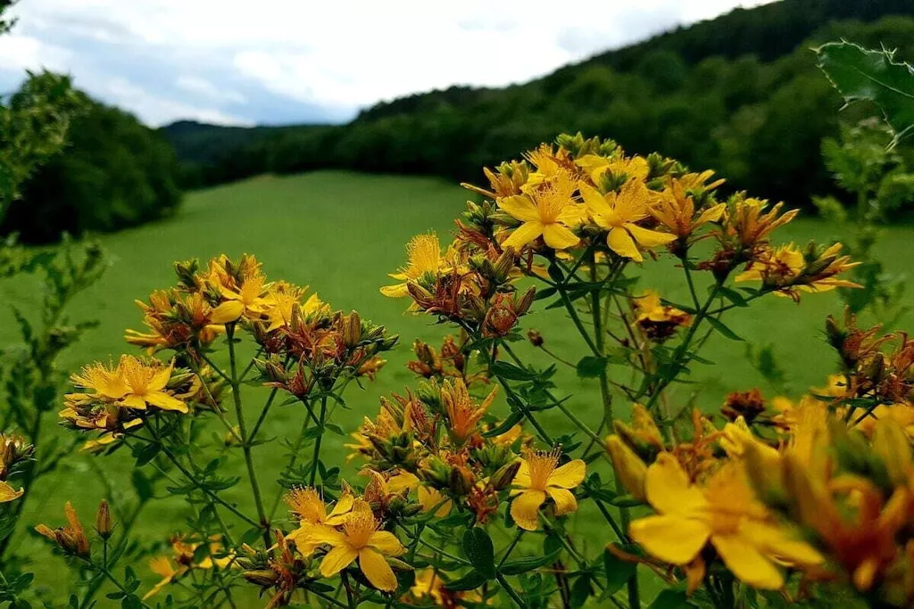 137960-Nicht zugeordnet