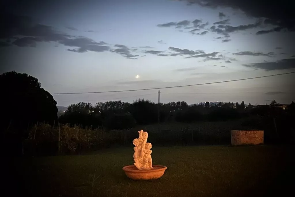 539355-Nicht zugeordnet